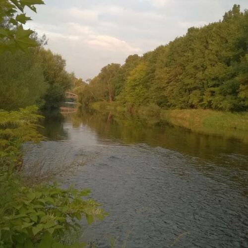 20140829_19_06_17_Braeunsdorf03.jpg